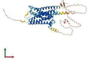 Protein Structure (PS) image for Adrenoceptor alpha 1A (ADRA1A) (AA 1-466) protein (His tag) (ABIN7556823)