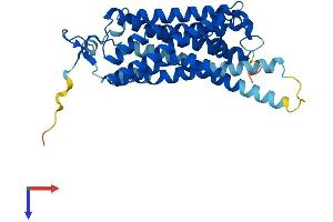 TAAR9 Protein (AA 1-348) (His tag)