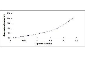 Typical standard curve (WNT4 ELISA Kit)