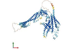 Protein Structure (PS) image for T-Cell, Immune Regulator 1, ATPase, H+ Transporting, Lysosomal V0 Subunit A3 (TCIRG1) (AA 1-830) protein (His tag) (ABIN7556007)