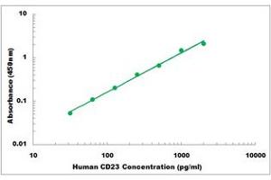 Representative Standard Curve