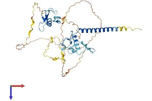 MBD2 Protein (AA 1-414) (His tag)
