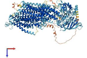ABCC8 Protein (AA 1-1581) (His tag)