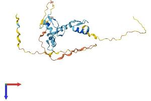 ZNF524 Protein (AA 1-264) (His tag)