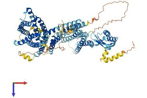 SLC30A5 Protein (AA 1-765) (His tag)