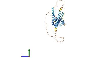 Protein Structure (PS) image for Coiled-Coil Domain Containing 104 (CCDC104) (AA 1-342) protein (His tag) (ABIN7553128)