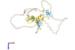 SCRT1 Protein (AA 1-348) (His tag)