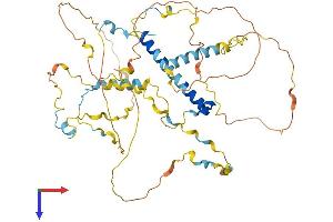 Protein Structure (PS) image for Papillary Renal Cell Carcinoma (Translocation-Associated) (PRCC) (AA 1-491) protein (His tag) (ABIN7551014)