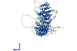 Protein Structure (PS) image for Protein Phosphatase 4, Regulatory Subunit 4 (PPP4R4) (AA 1-875) protein (His tag) (ABIN7559092)