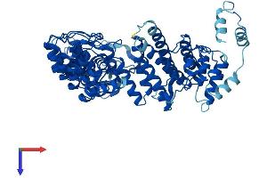 FEM1B Protein (AA 1-627) (His tag)