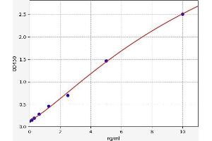 Procollagen II N-Terminal Propeptide (PIINP) ELISA Kit
