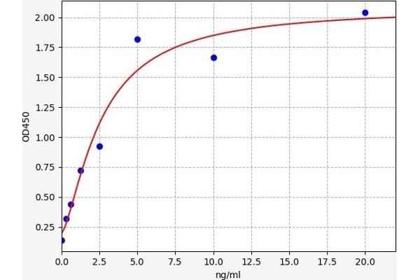 Adenylosuccinate Lyase ELISA Kit