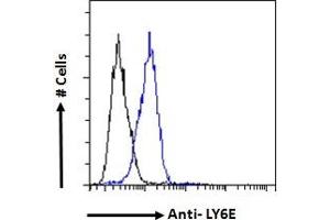 ABIN570878 Flow cytometric analysis of paraformaldehyde fixed NIH3T3 cells (blue line), permeabilized with 0. (LY6E Antikörper  (Internal Region))
