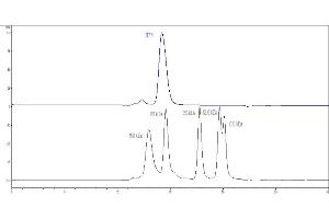 The purity of Cynomolgus / Rhesus macaque B7-1, His Tag (Hied) (ABIN2180840,ABIN2180839) was more than 90 % as determined by . (CD80 Protein (CD80) (AA 35-242) (His tag))