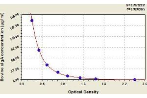 Typical Standard Curve (IgA Secretory Component ELISA Kit)