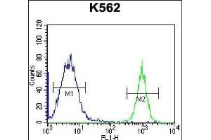 PTMS Antibody (C-term) (ABIN656745 and ABIN2845967) flow cytometric analysis of K562 cells (right histogram) compared to a negative control cell (left histogram). (Parathymosin Antikörper  (C-Term))