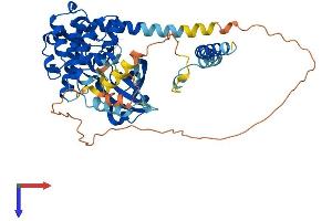STK4 Protein (AA 1-487) (His tag)