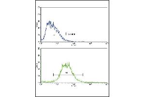 Flow cytometric analysis of HepG2 cells using IL17RB Antibody (Center)(bottom histogram) compared to a negative control cell (top histogram). (IL17 Receptor B Antikörper  (AA 207-234))