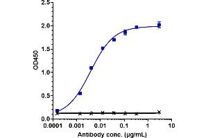 Immobilized human NECTIN 4 His at 2 μg/mL can bind Anti-Nectin-4 Reference Antibody (enfortumab), EC50=0.