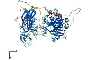 PKC epsilon Protein (AA 1-737) (His tag)