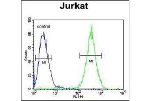 flow cytometric analysis of Jurkat cells using SELPLG Antibody (C-term) Cat. (SELPLG Antikörper  (C-Term))