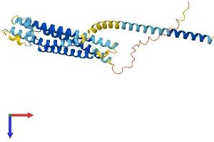 Syntaxin 4 Protein (STX4) (AA 1-297) (His tag)