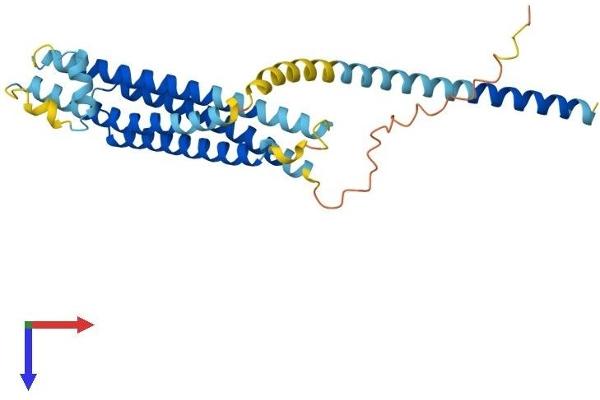 Syntaxin 4 Protein (STX4) (AA 1-297) (His tag)