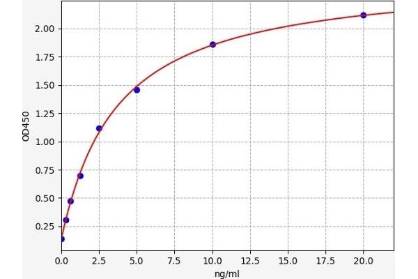 GRP78 ELISA Kit