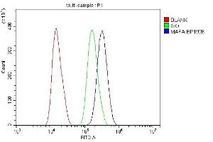 Flow Cytometry analysis of SiHa cells using anti-MAFA antibody (ABIN7602623). (MAFA Antikörper  (AA 9-308))