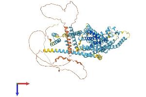 Tmc2 Protein (AA 1-906) (His tag)