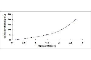 Typical standard curve (RRM1 ELISA Kit)