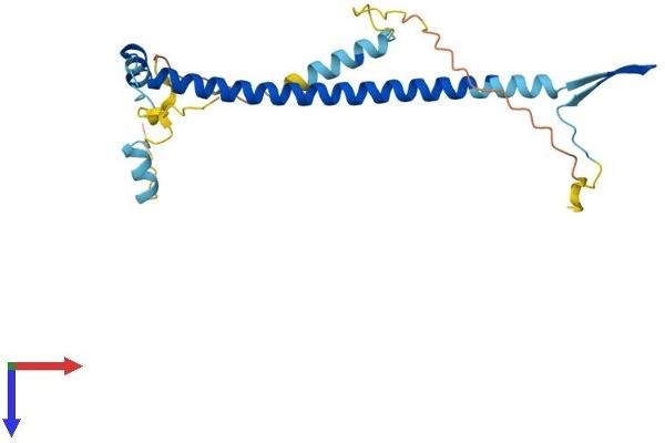 NOL12 Protein (AA 1-217) (His tag)