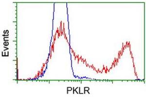 Flow Cytometry (FACS) image for anti-Pyruvate Kinase, Liver and RBC (PKLR) antibody (ABIN1500246) (PKLR Antikörper)