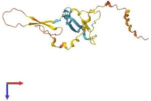 DAZAP2 Protein (AA 1-168) (His tag)
