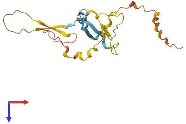 DAZAP2 Protein (AA 1-168) (His tag)