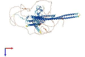 HMHA1 Protein (AA 1-1116) (His tag)
