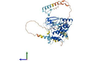 Protein Structure (PS) image for Paraneoplastic Antigen MA3 (PNMA3) (AA 1-466) protein (His tag) (ABIN7559411)