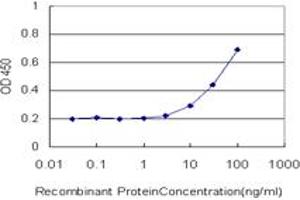 Detection limit for recombinant GST tagged CDC45L is approximately 3ng/ml as a capture antibody. (CDC45 Antikörper  (AA 1-566))