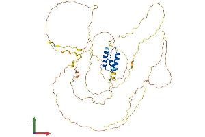 Protein Structure (PS) image for Iroquois Homeobox Protein 2 (IRX2) (AA 1-474) protein (His tag) (ABIN7556742)