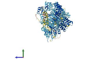 AlphaFold protein structure predicition of Human Recombinant NAIP Protein, UniprotID Q13075