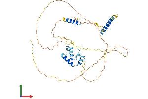 Protein Structure (PS) image for Caspase Activity and Apoptosis Inhibitor 1 (CAAP1) (AA 1-361) protein (His tag) (ABIN7552889)