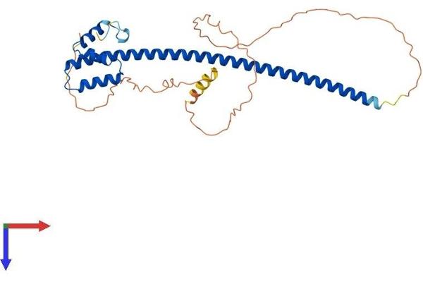 TEX13B Protein (AA 1-312) (His tag)
