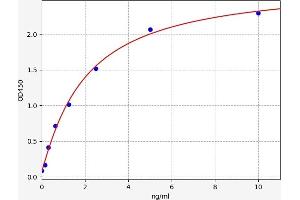 RGS2 ELISA Kit