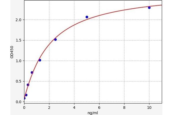 RGS2 ELISA Kit