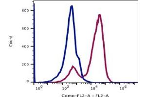 Image no. 2 for anti-CD7 (CD7) antibody (Biotin) (ABIN5067769) (CD7 Antikörper  (Biotin))