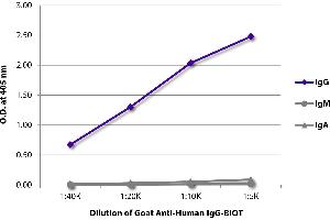 ELISA plate was coated with purified human IgG, IgM, and IgA. (Ziege anti-Human IgG (Heavy Chain) Antikörper (Biotin))
