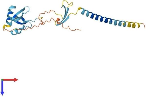 CIDEB Protein (AA 1-219) (His tag)