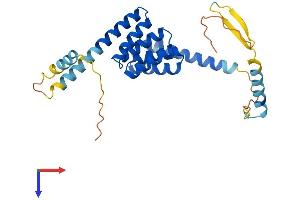 TTC33 Protein (AA 1-262) (His tag)