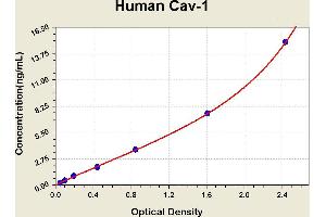 Diagramm of the ELISA kit to detect Human Cav-1with the optical density on the x-axis and the concentration on the y-axis.