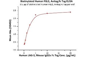 ELISA image for Fibrinogen-Like 1 (FGL1) (AA 23-312) (Active) protein (AVI tag,Fc Tag,Biotin) (ABIN6923181)